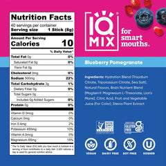 Blueberry Pomegranate (40 Sticks)